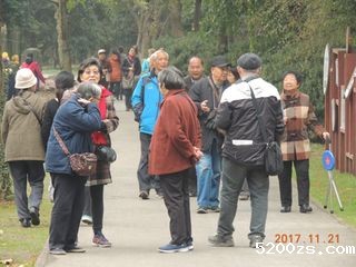 秋游1